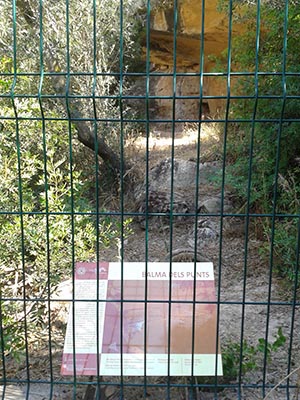 Plafó de la Balma dels Punts Plafó de la Balma dels Punts